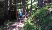 Trail Walking Pralognan-la-Vanoise - Le village de La Croix - Photo 5