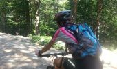 Percorso Mountainbike Joannas - roubreau col des langoustines la boule rocles roubreau - Photo 7