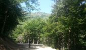 Excursión Bici de montaña Joannas - roubreau col des langoustines la boule rocles roubreau - Photo 2