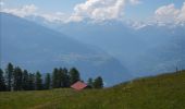 Percorso Marcia Ayent - Anzère - Alpages - Bisse de sion 210713 - Photo 2