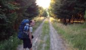 Trail Walking Gouvy - tracking met david - Photo 4
