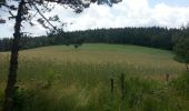 Tour Wandern Allenc - château de la tournelle - Photo 11