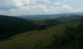 Tour Wandern Allenc - château de la tournelle - Photo 8