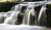 Tour Wandern Menétrux-en-Joux - les cascades du hérisson - Photo 1