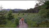 Trail Walking Nanchez - Prénovel - tourbières - Photo 1