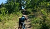 Trail Mountain bike Chassiers - vtt chassier - Photo 5