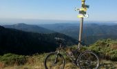 Trail Mountain bike Joannas - roubreau col de bauzon  - Photo 16