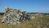 Tocht Mountainbike Joannas - roubreau col de bauzon  - Photo 6