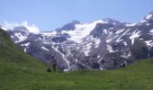 Excursión Senderismo Val-d'Isère - a rando 20130727 - Photo 3