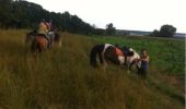 Percorso Altra attività Walcourt - balade a cheval des 3 rivieres - Photo 1