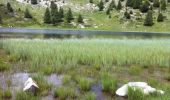 Tocht Stappen Seyne - Lacs noir et du milieu - Photo 1