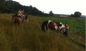 Tocht Paard Walcourt - balade a cheval des 3 rivieres - Photo 1