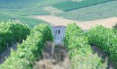Randonnée Moteur Saint-Preuil - Découvrez la Grande Champagne hors des sentiers battus - Photo 1