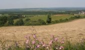 Trail Walking Beauraing - Winenne - Nature: trip to the countryside - Photo 2