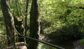 Randonnée Marche Beauraing - Circuit nature à la découverte de la Famenne autour de Winenne - Photo 14