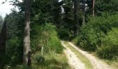 Trail Walking Naussac-Fontanes - naussac - Photo 5