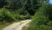 Trail Walking Naussac-Fontanes - naussac - Photo 4