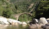 Tocht Stappen Ota - gorges de la spelunca et pont, ota, corse - Photo 1