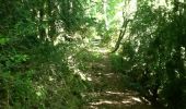 Trail Walking Valzin-en-Petite-Montagne - Dramelay-Quinquenouille - Photo 10