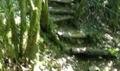 Trail Walking Valzin-en-Petite-Montagne - Dramelay-Quinquenouille - Photo 4