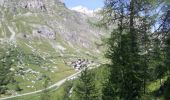 Tocht Stappen Val-d'Isère - a rando 20130802 - Photo 4