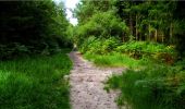 Trail Walking Longpont - en forêt de Retz_18_Longpont_etangs de la Ramee_AR - Photo 17