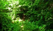 Trail Walking Longpont - en forêt de Retz_18_Longpont_etangs de la Ramee_AR - Photo 4