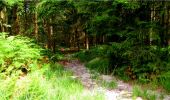 Percorso Marcia Longpont - en forêt de Retz_18_Longpont_etangs de la Ramee_AR - Photo 19
