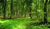 Tocht Stappen Longpont - en forêt de Retz_18_Longpont_etangs de la Ramee_AR - Photo 5