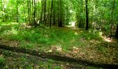 Trail Walking Longpont - en forêt de Retz_18_Longpont_etangs de la Ramee_AR - Photo 1