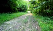 Trail Walking Longpont - en forêt de Retz_18_Longpont_etangs de la Ramee_AR - Photo 2
