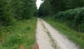 Excursión Caballo Jouey - forêt de Buan - Photo 1