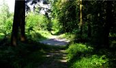 Trail Walking Longpont - en forêt de Retz_19_Longpont_carrefour de Vauvaudran_AR - Photo 2
