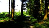 Excursión Senderismo Longpont - en forêt de Retz_19_Longpont_carrefour de Vauvaudran_AR - Photo 1