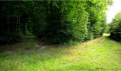 Trail Walking Longpont - en forêt de Retz_19_Longpont_carrefour de Vauvaudran_AR - Photo 12