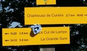 Percorso Altra attività Saint-Laurent-du-Pont - La grande Sure depuis la Chartreuse de Curière - Photo 7