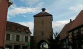 Tocht Lopen Dambach-la-Ville - dambach - chateau de bernstein - Photo 1