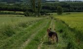 Trail Walking Mettet - Biésmeree - Photo 15