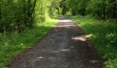 Trail Walking Dinant - Dinant - Photo 15