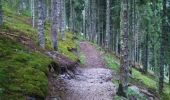 Trail Walking Les Adrets - A-R prapoutel-lac de crop - Photo 12