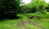 Trail Walking Montgobert - en forêt de Retz_83_les Champs Mentard_le Fond d'Argent - Photo 17