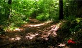 Percorso Marcia Longpont - en forêt de Retz_20_Longpont_carrefour des six Routes_AR - Photo 12