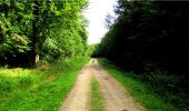 Trail Walking Longpont - en forêt de Retz_20_Longpont_carrefour des six Routes_AR - Photo 9