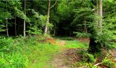 Trail Walking Longpont - en forêt de Retz_20_Longpont_carrefour des six Routes_AR - Photo 13