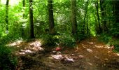 Trail Walking Longpont - en forêt de Retz_20_Longpont_carrefour des six Routes_AR - Photo 11