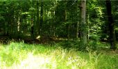 Tocht Stappen Montgobert - en forêt de Retz_83_les Champs Mentard_le Fond d'Argent - Photo 15