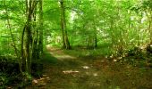 Percorso Marcia Longpont - en forêt de Retz_20_Longpont_carrefour des six Routes_AR - Photo 4