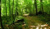 Excursión Senderismo Longpont - en forêt de Retz_20_Longpont_carrefour des six Routes_AR - Photo 6
