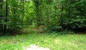 Tour Wandern Montgobert - en forêt de Retz_83_les Champs Mentard_le Fond d'Argent - Photo 16