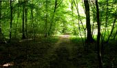 Trail Walking Longpont - en forêt de Retz_20_Longpont_carrefour des six Routes_AR - Photo 5